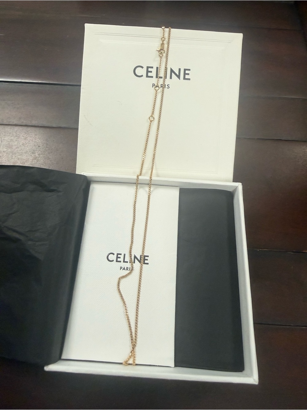 Celine Delicate Gold Necklace